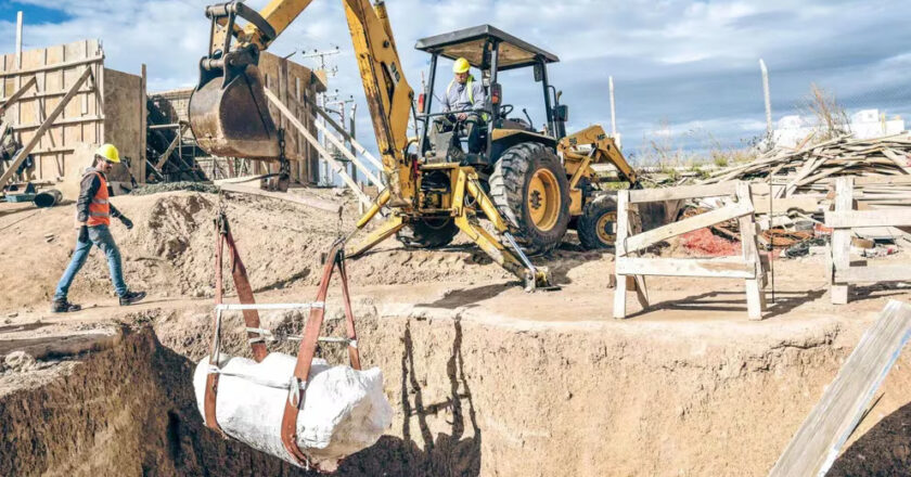 Encontraron los restos fósiles de un perezoso gigante de 50 mil años de antigüedad en Mar del Plata