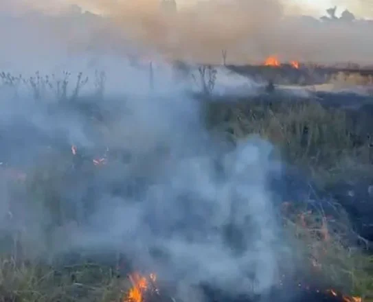 Bomberos intervinieron en un nuevo incendio en el “Campo del Alemán”