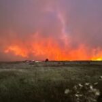 Control de incendio en la Reserva Natural de Punta Lara