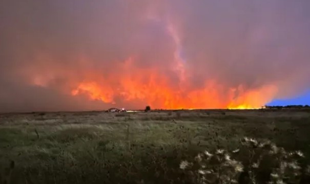 Control de incendio en la Reserva Natural de Punta Lara