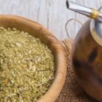 Científicos de la UNQ descubren que la yerba mate ayuda a cicatrizar heridas